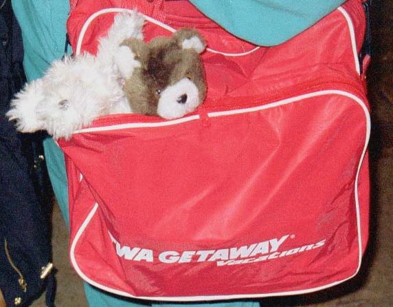  Dog and
Bear in TWA Getaway Bag 