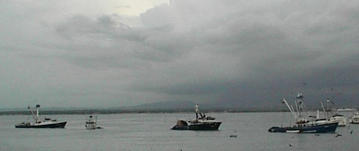 Fishing boats at Manta 