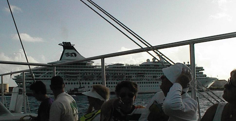  The Cat and the Princess 